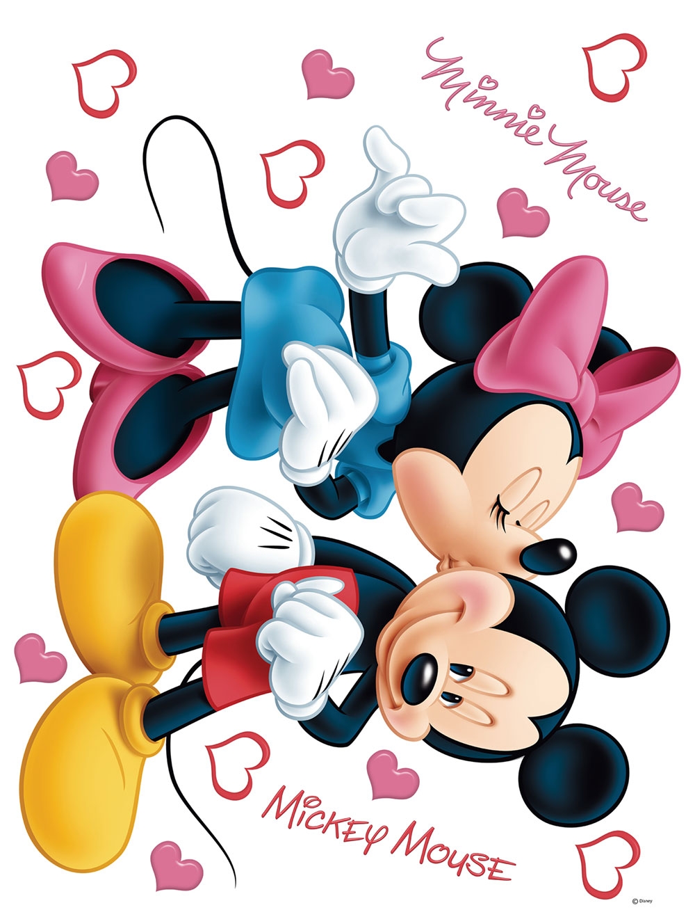 882 Minnie Mickey falmatrica